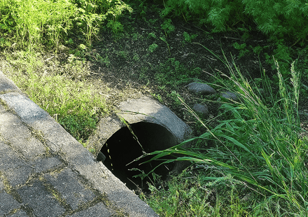 生物廊道
